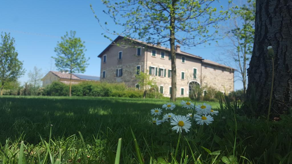 Agriturismo Il Brugnolo Скандиано Экстерьер фото