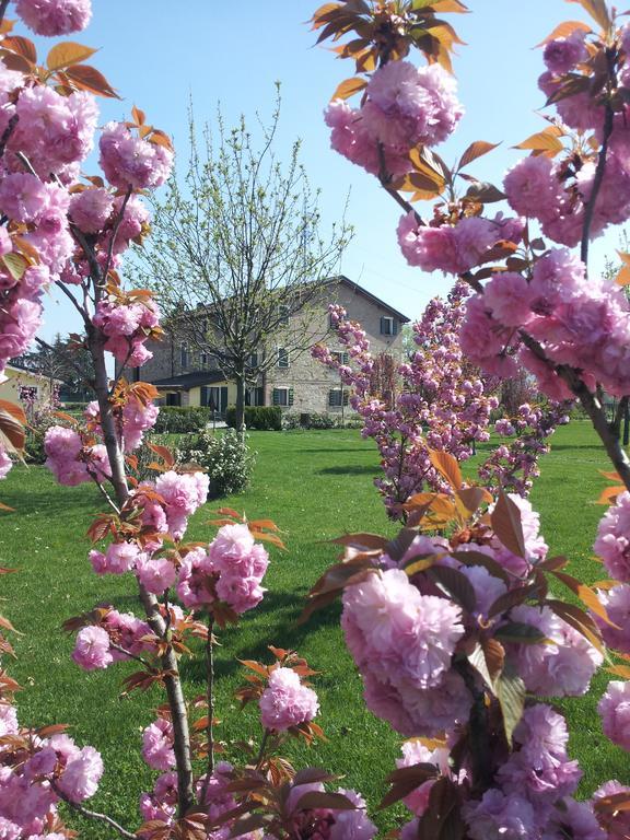 Вилла Agriturismo Il Brugnolo Скандиано Экстерьер фото