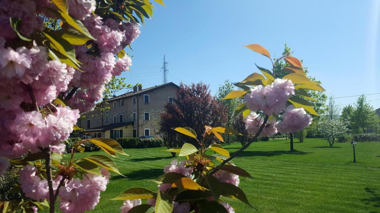Agriturismo Il Brugnolo Скандиано Экстерьер фото